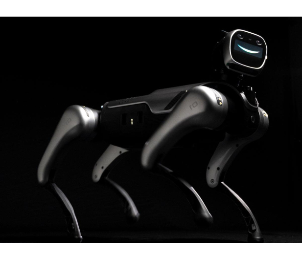 Magiclab Magicdog Edu - 1470907 - zdjęcie 12
